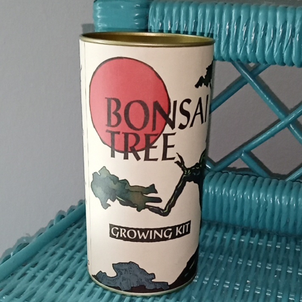 Bonsai Tree Growing Kit
